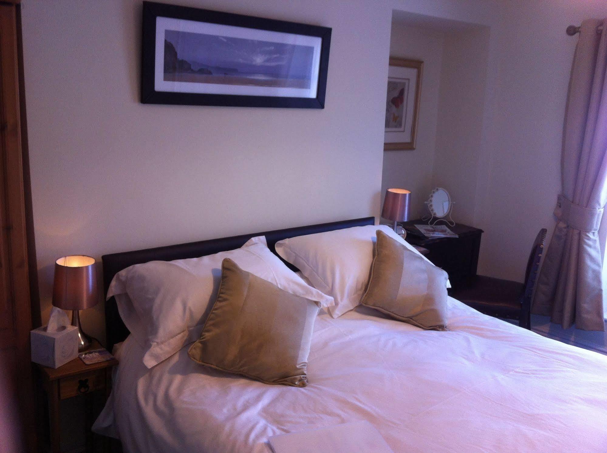 Inn The New Court Usk